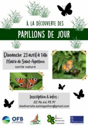 affiche_anim_BV_papillonsdiurnes_2023.PNG